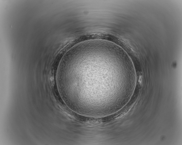 X0000095540771200712211347