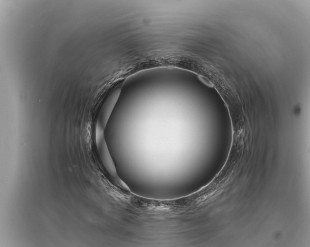 X0000095540772200712211347