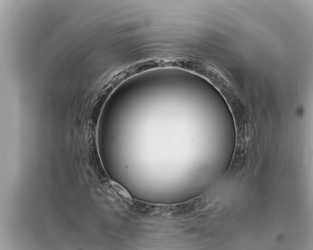 X0000095540773200712211347