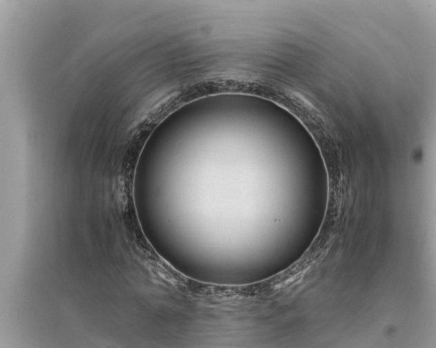 X0000095540774200712211347