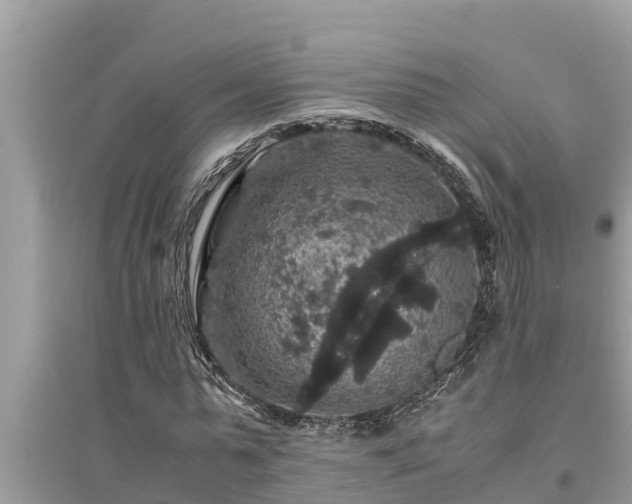 X0000095540775200712211347