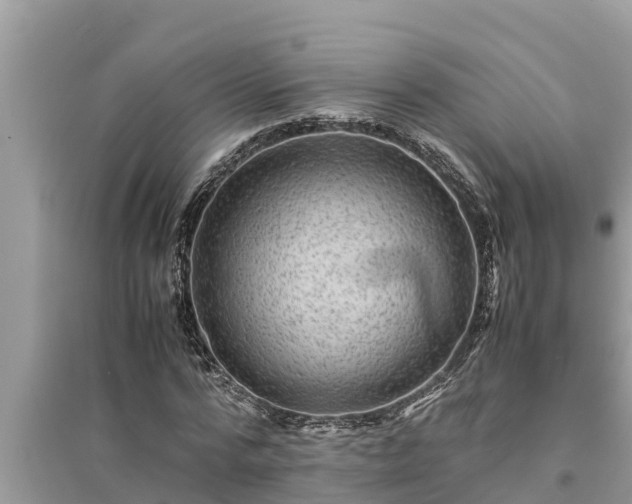 X0000095540776200712211347