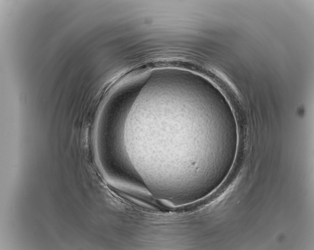 X0000095540777200712211347