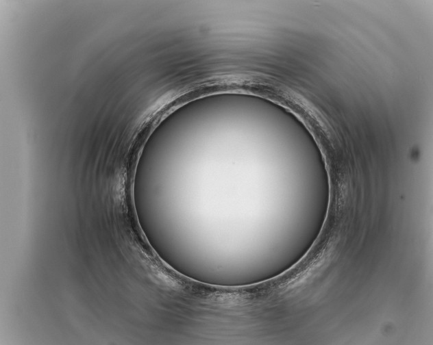 X0000095540778200712211346