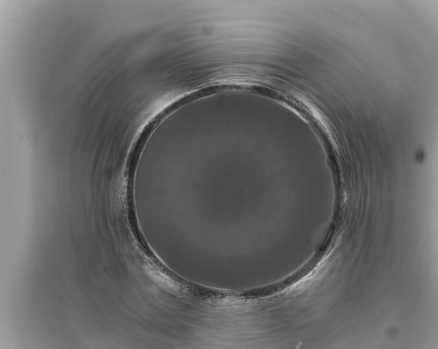 X0000095540779200712211346