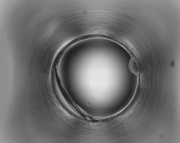 X0000095540780200712211346