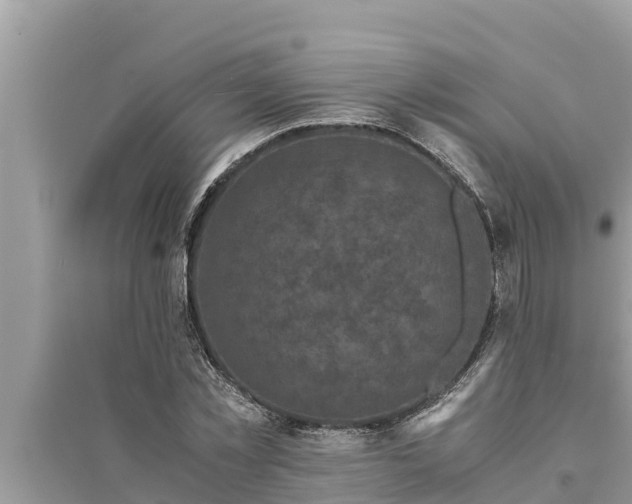 X0000095540781200712211346