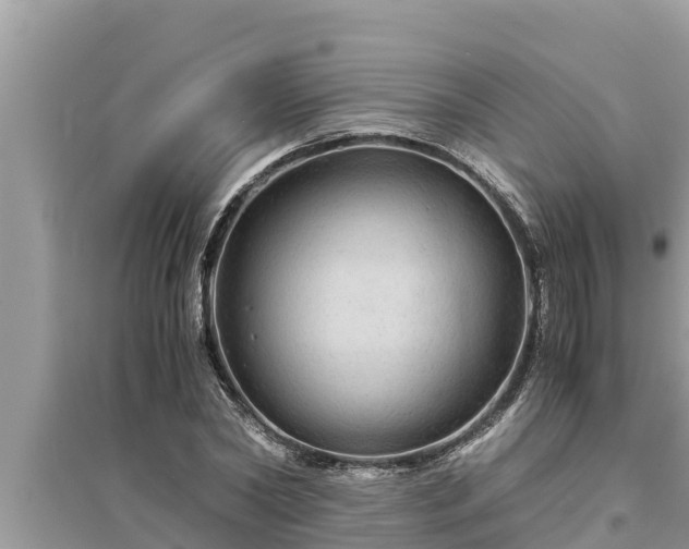 X0000095540782200712211346