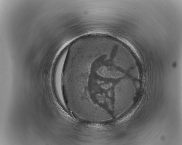 X0000095540783200712211346