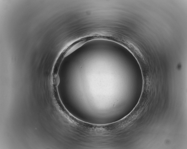 X0000095540784200712211346