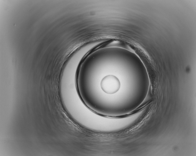 X0000095540785200712211346