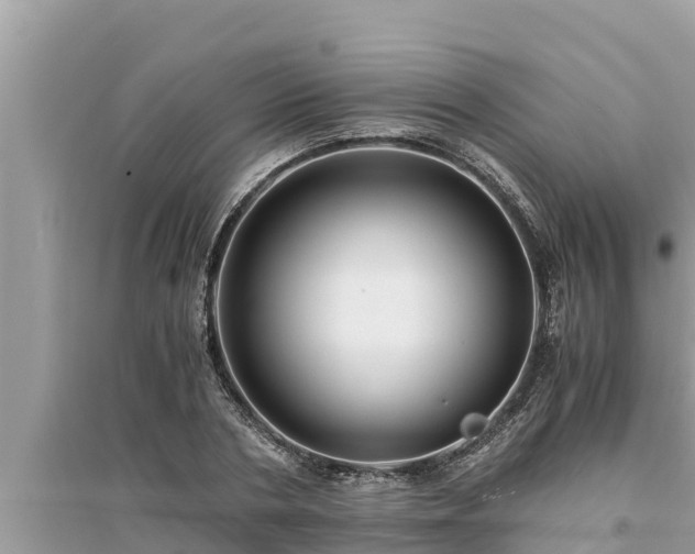 X0000095540786200712211346