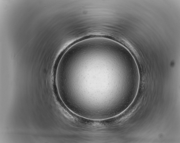 X0000095540787200712211346