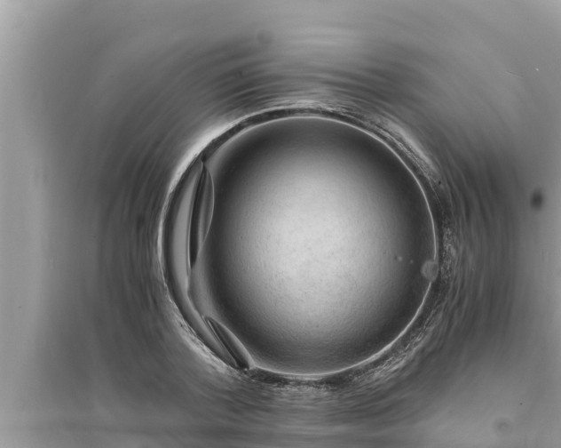 X0000095540788200712211346