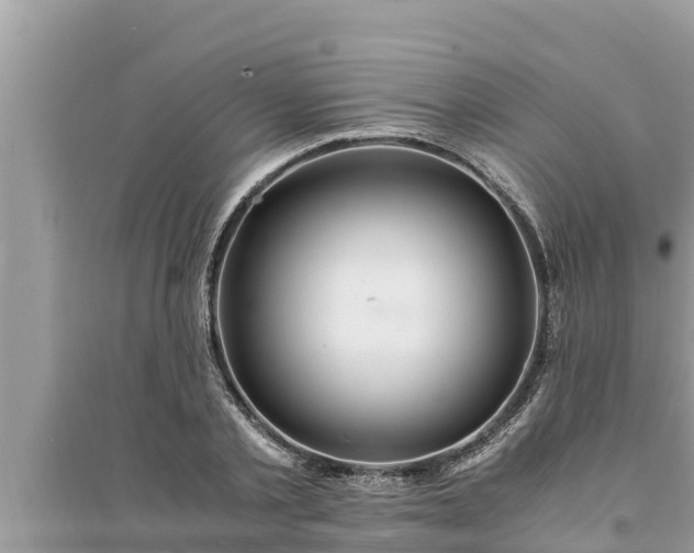 X0000095540789200712211346