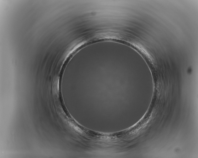 X0000095540790200712211346