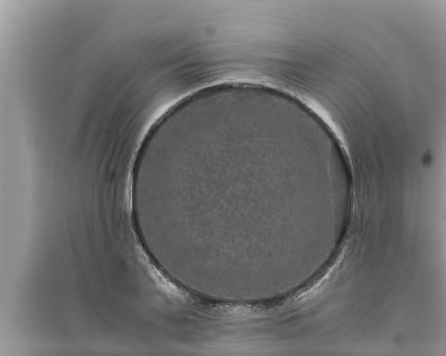 X0000095540791200712211346