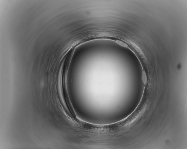 X0000095540793200712211346