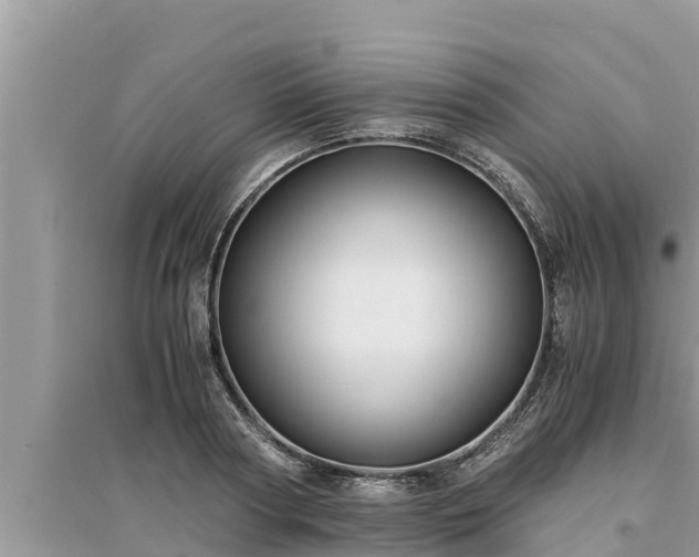 X0000095540794200712211346