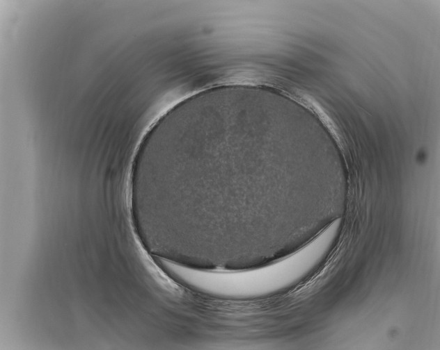 X0000095540795200712211346