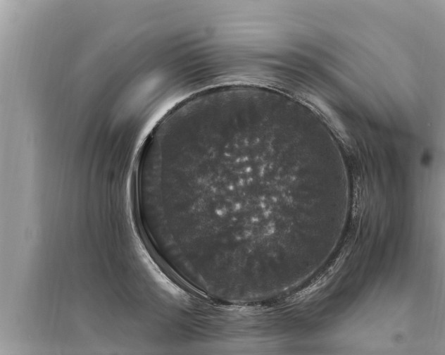 X0000095540796200712211346