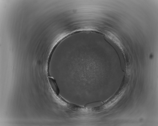 X0000095540797200712211346