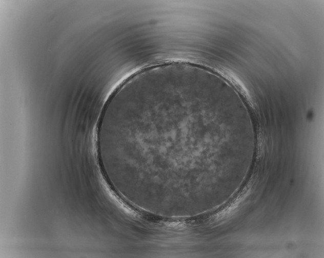 X0000095540798200712211346