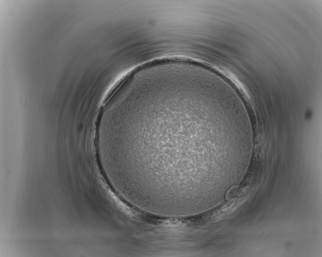 X0000095540799200712211346