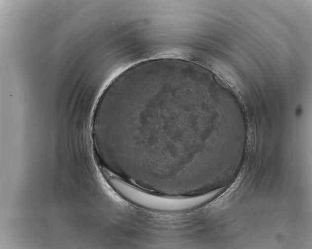 X0000095540800200712211346