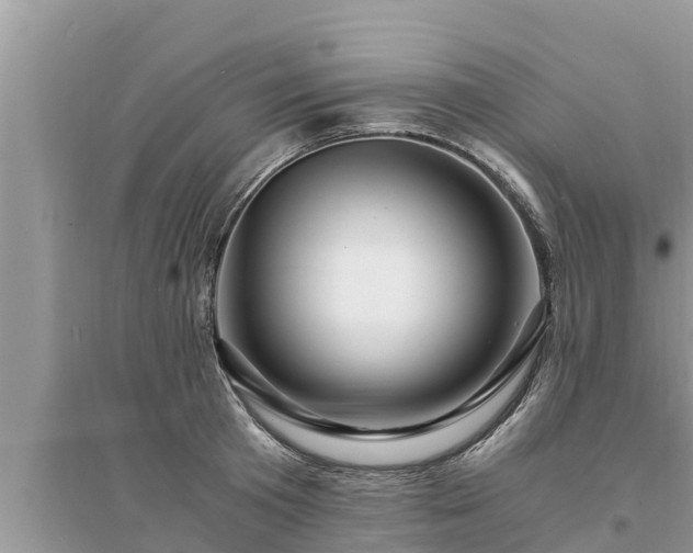 X0000095540801200712211346