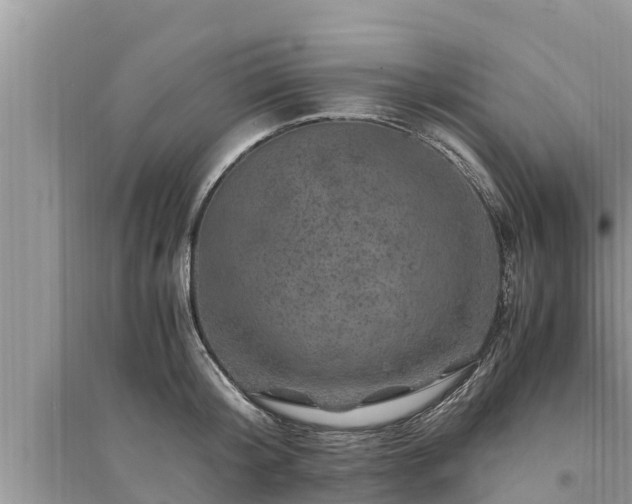 X0000095540804200712211346