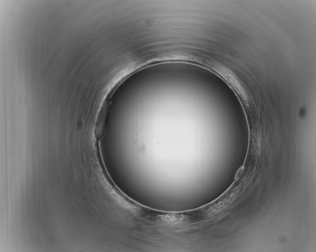 X0000095540805200712211346