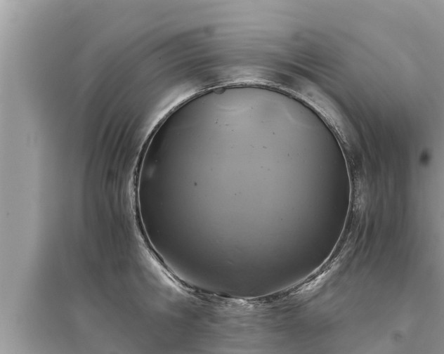 X0000095540806200712211346