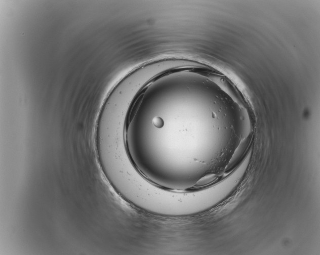 X0000095540807200712211346