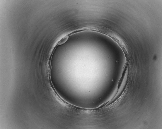 X0000095540808200712211346