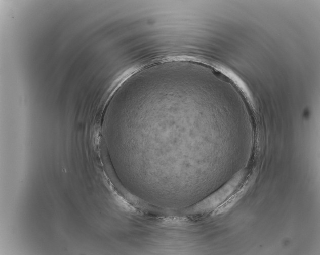 X0000095540809200712211346