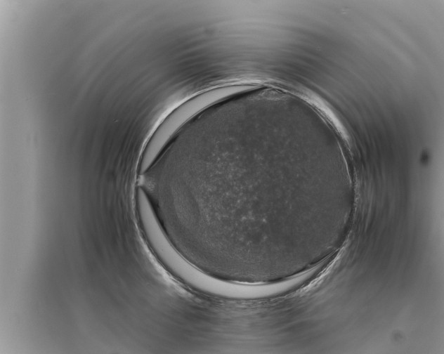 X0000095540810200712211346