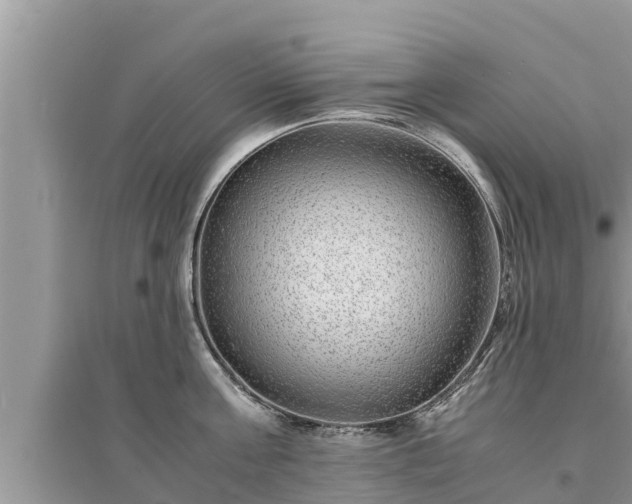 X0000095540811200712211346