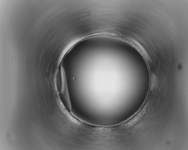 X0000095540812200712211346