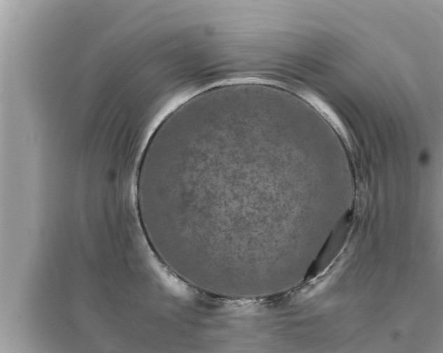 X0000095540813200712211346