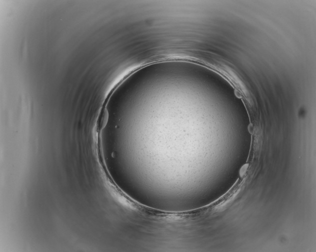 X0000095540814200712211346