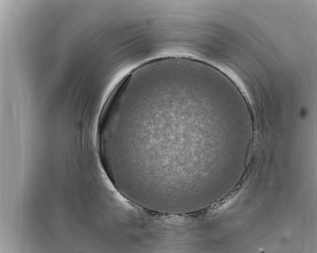 X0000095540815200712211346