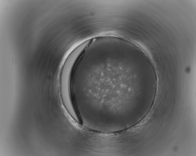 X0000095540816200712211346