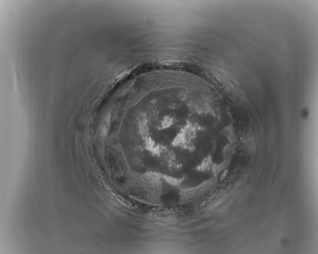 X0000095540817200712211345