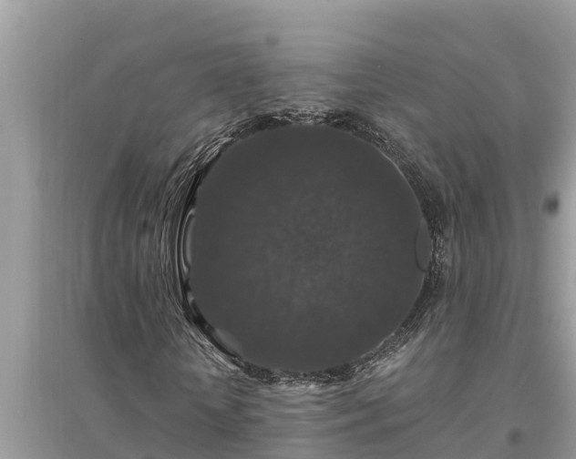 X0000095540818200712211345