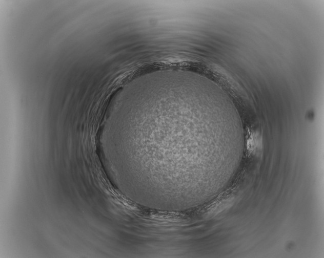 X0000095540819200712211345