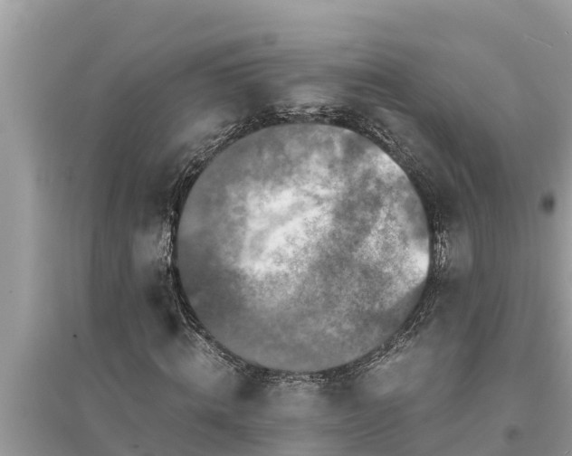 X0000095540820200712211345