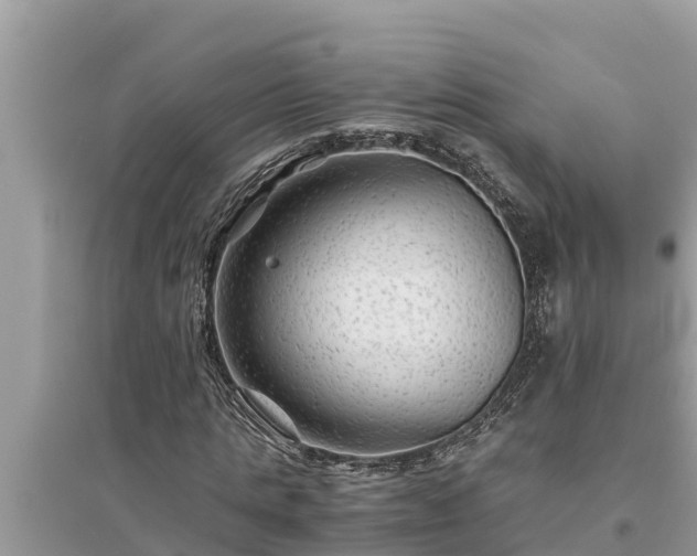 X0000095540821200712211345