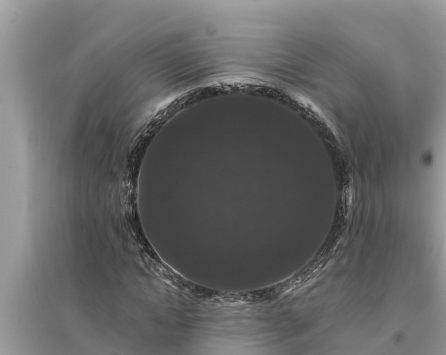 X0000095540822200712211345