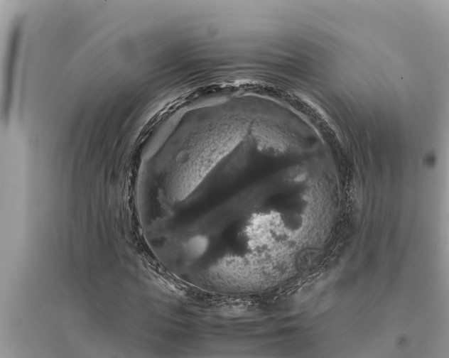 X0000095540823200712211345